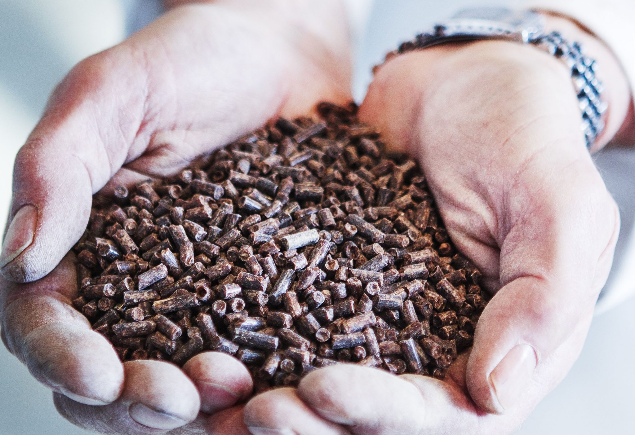 FeedKind® Protein Wins FDA GRAS Status for Use in Aquaculture - Aqua ...