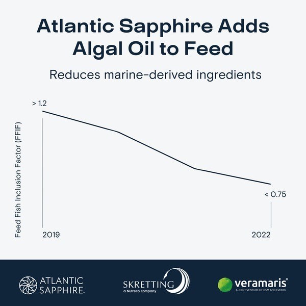 Atlantic Sapphire announces the inclusion of algal omega-3 feed ...