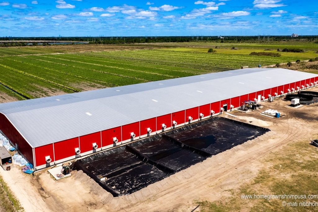 Opening ceremony for CPF's Homegrown Shrimp USA (HGS), its first shrimp